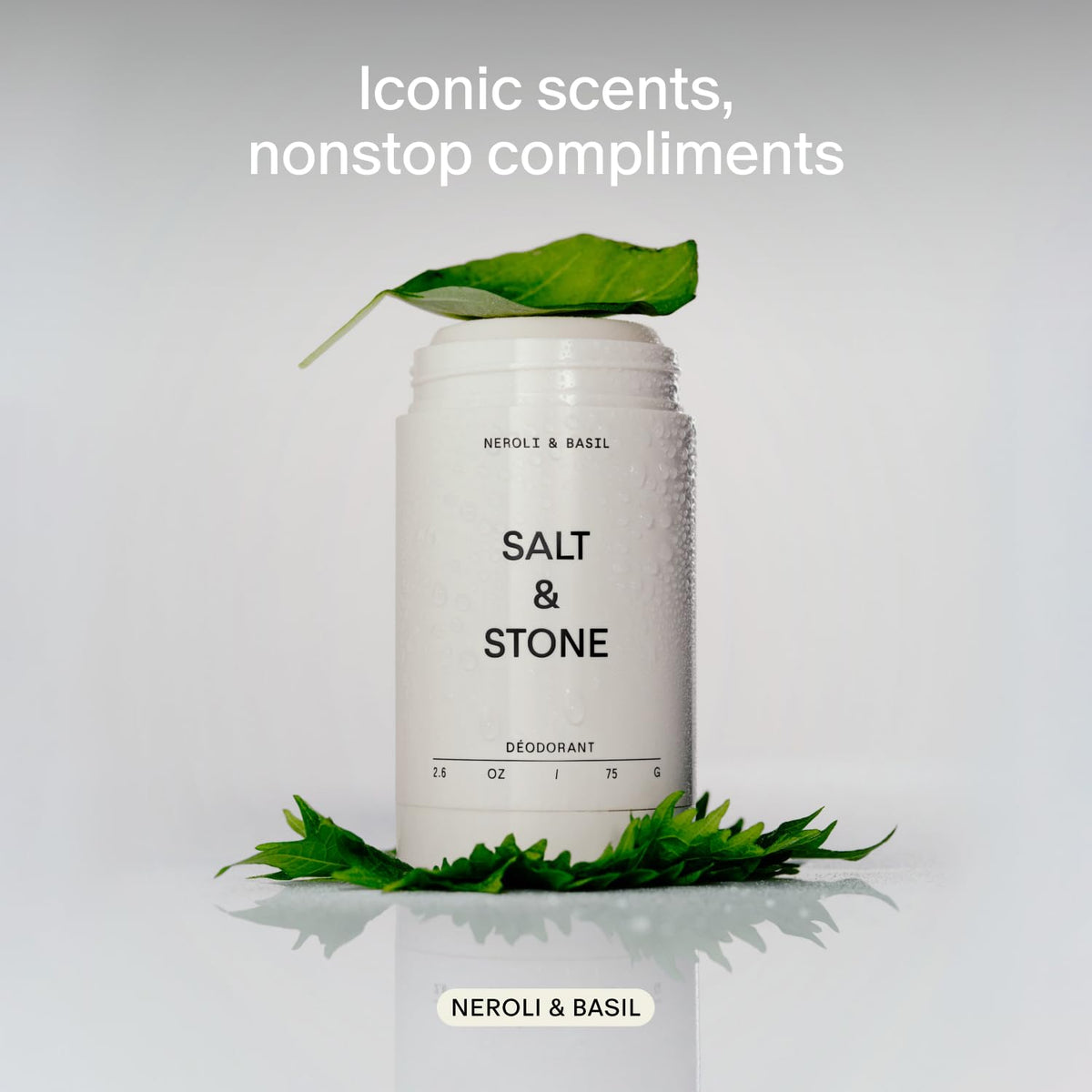 Salt & Stone Aluminum-Free Deodorant, Women & Men Black Rose & Oud 2.6 oz