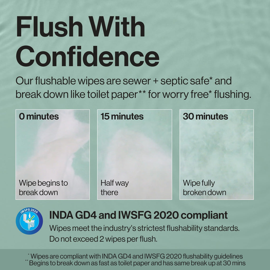 The Honest Company Flushable Wipes, Hypoallergenic, Gilded Wings, 126 Count