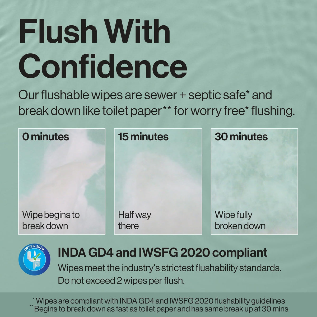 The Honest Company Flushable Wipes, Hypoallergenic, Gilded Wings, 126 Count