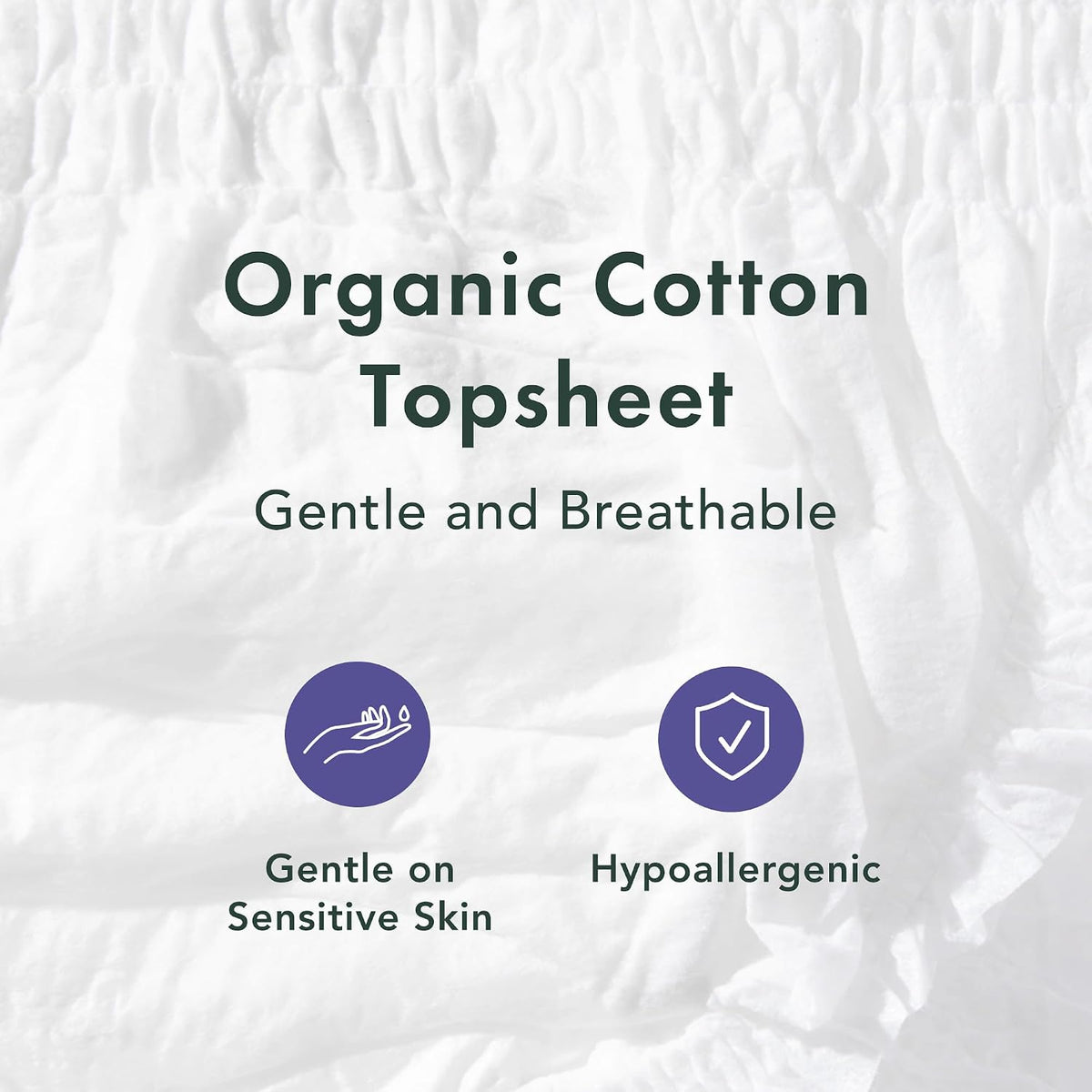 Rael Disposable Period Underwear, Organic Cotton Cover (Size S-M, 12 Ct)