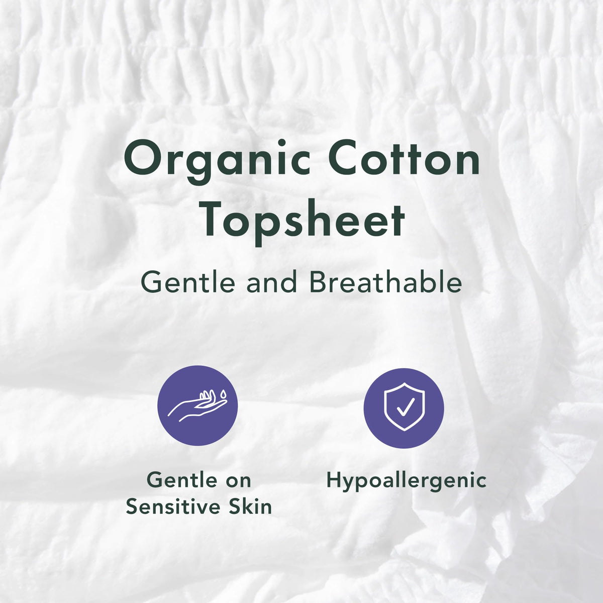 Rael Disposable Period Underwear, Organic Cotton Cover (Size S-M, 12 Ct)