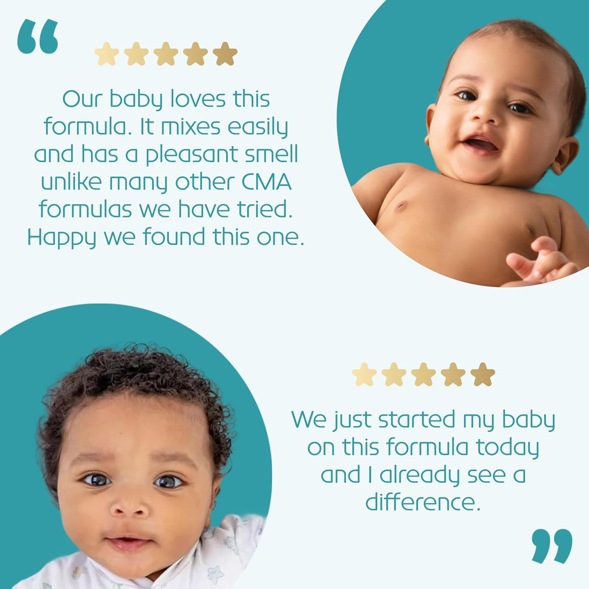Pepticate Hypoallergenic Infant Formula 0–12 Months 13.2oz 4 Pack