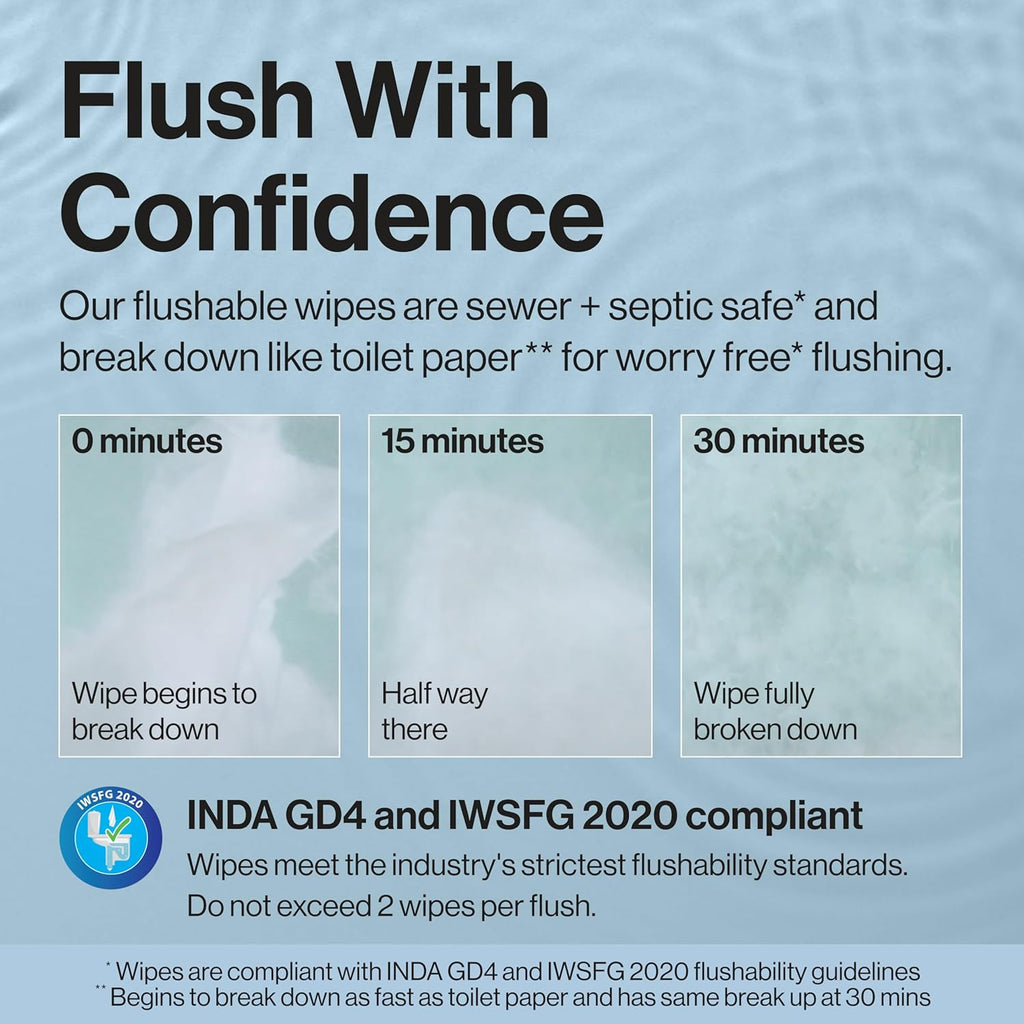 The Honest Company Flushable Wipes, Hypoallergenic, Gilded Wings, 126 Count