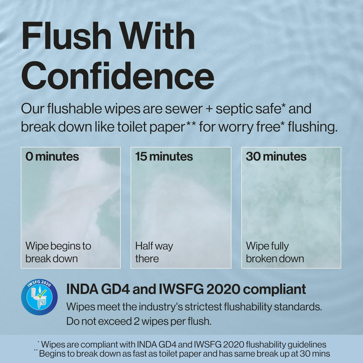 The Honest Company Flushable Wipes, Hypoallergenic, Gilded Wings, 126 Count